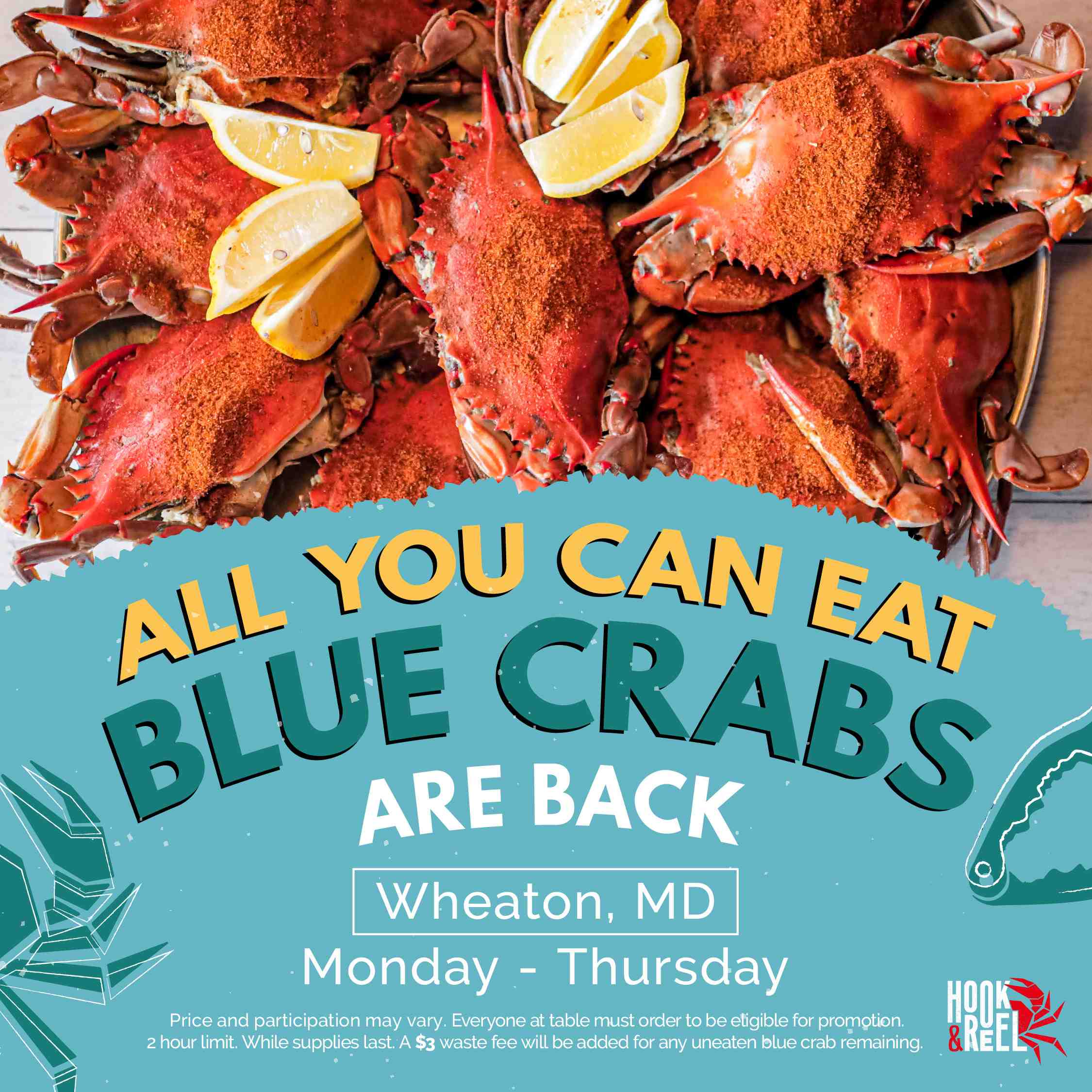 BLUE CRABS ARE BACK