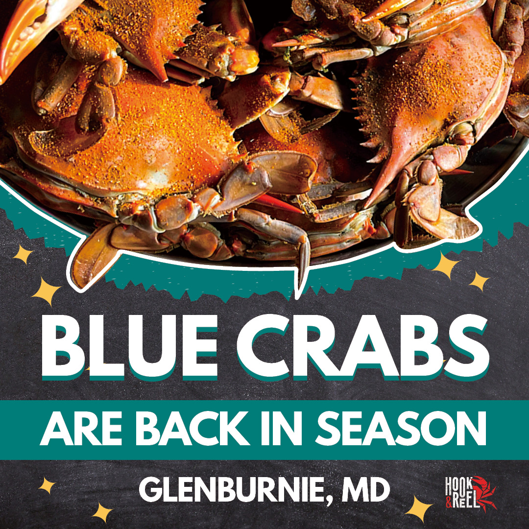 036_025_GlenBurnie_BlueCrab_1080x1080